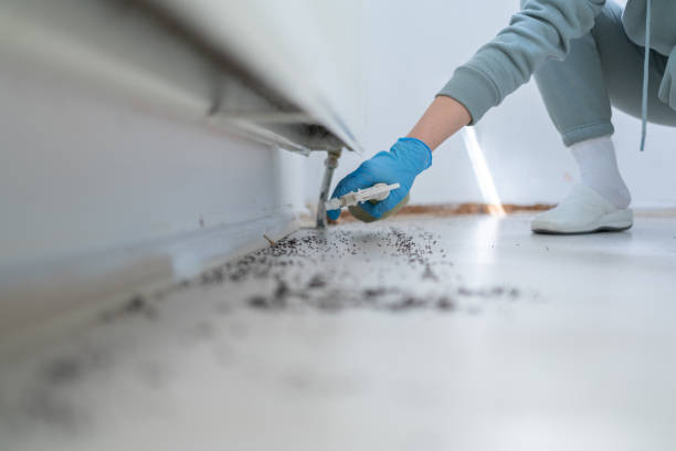 Pest Control Cost in Garrett, TX